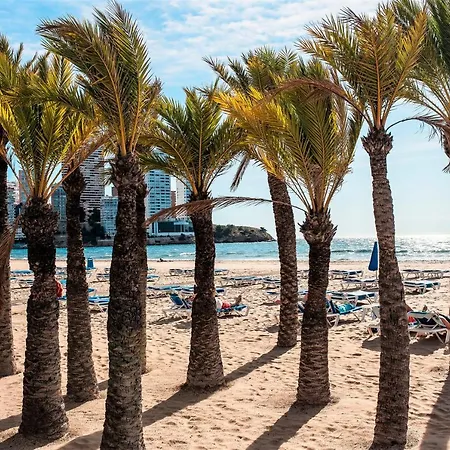 My Sweet Oca View & Oca Sky Benidorm